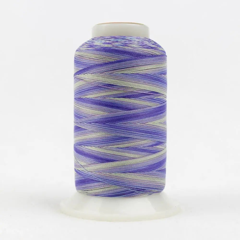 SCM12 - Silco™ 35wt Cotton Violets Blues Thread WonderFil USA