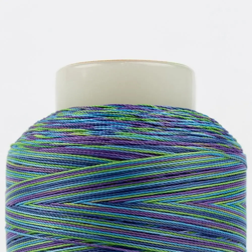 SCM17 - Silco™ 35wt Cotton Purple Blue Green Thread WonderFil USA
