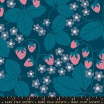 Ruby Star Reimagined Landscapes Galaxy Strawberries quilting fabric by Moda