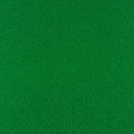 Glitter Green Kona Sheen blender quilting fabric by Robert Kaufman