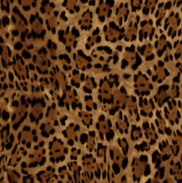 Savanna Sunrise novelty quilting fabric by Windham Fabrics