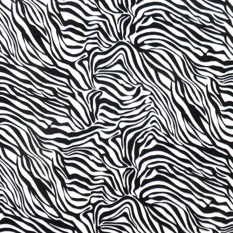 Wild Zebra novelty quilting fabric by Timeless Treasures