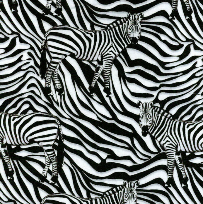Wild Zebra novelty quilting fabric by Timeless Treasures