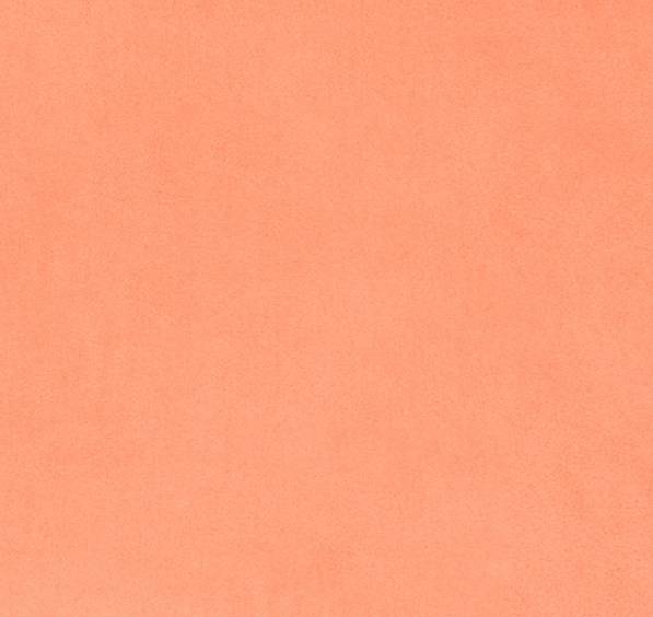 Solid Cuddle 3 Papaya minky fabric by Shannon