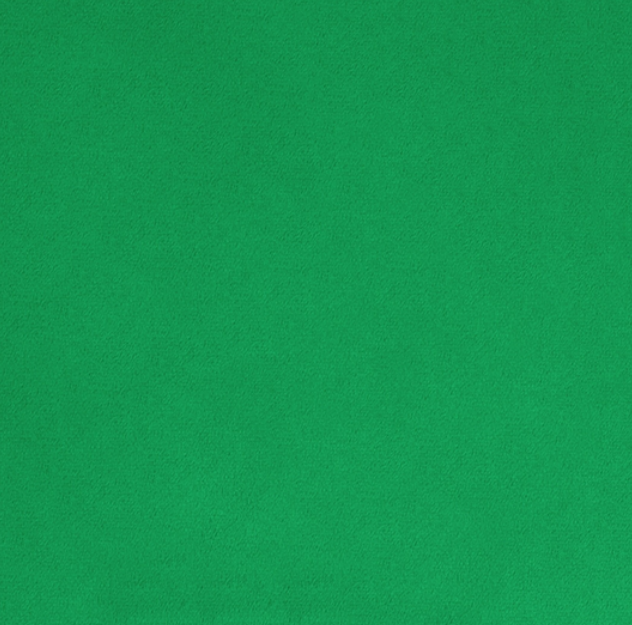 Solid Cuddle 3 Kelly Green minky fabric by Shannon