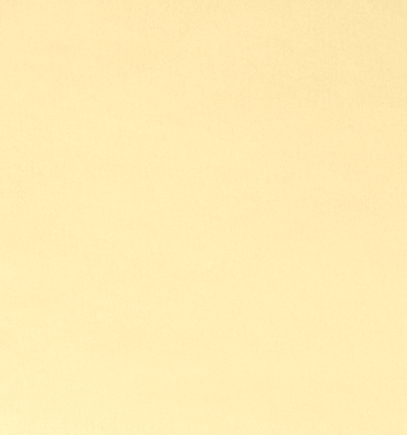 Cuddle 90 Butter wide minky fabric by Shannon