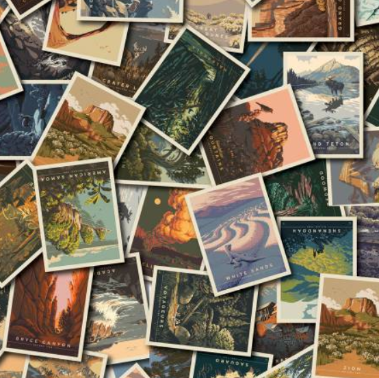 National Parks Postcards Toss Multi quilting fabric by Riley Blake