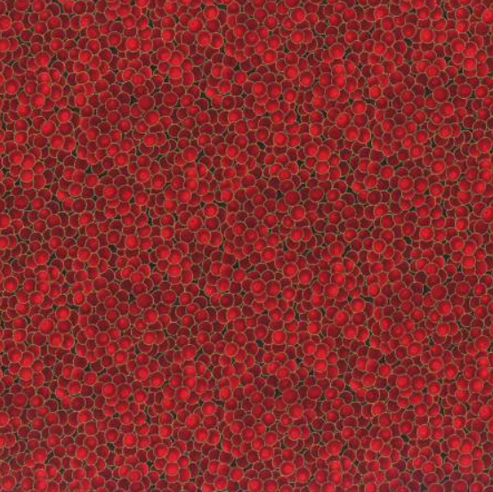 Brilliant Blender Scarlet with gold metallic Christmas quilting fabric by Hoffman