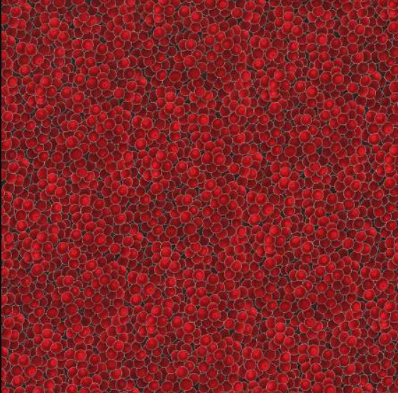Brilliant Blender Red with silver metallic Christmas quilting fabric by Hoffman