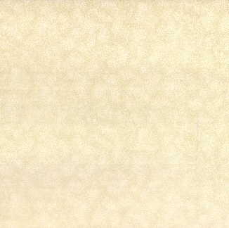 Brilliant Blenders Natural with gold metallic quilting fabric by Hoffman