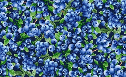 Packed Blueberries novelty quilting fabric by Timeless Treasures