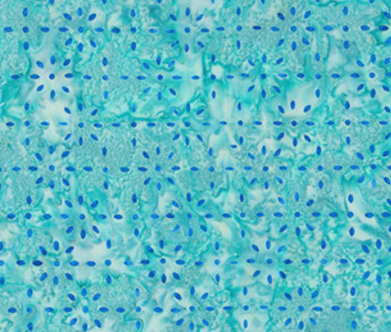 Northcott Celebrating 250 Years Small Burst Blue Green patriotic quilting fabric