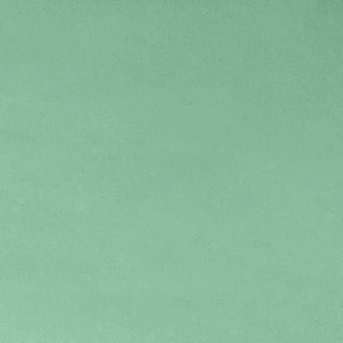 C3 SPEARMINT LINDA'S