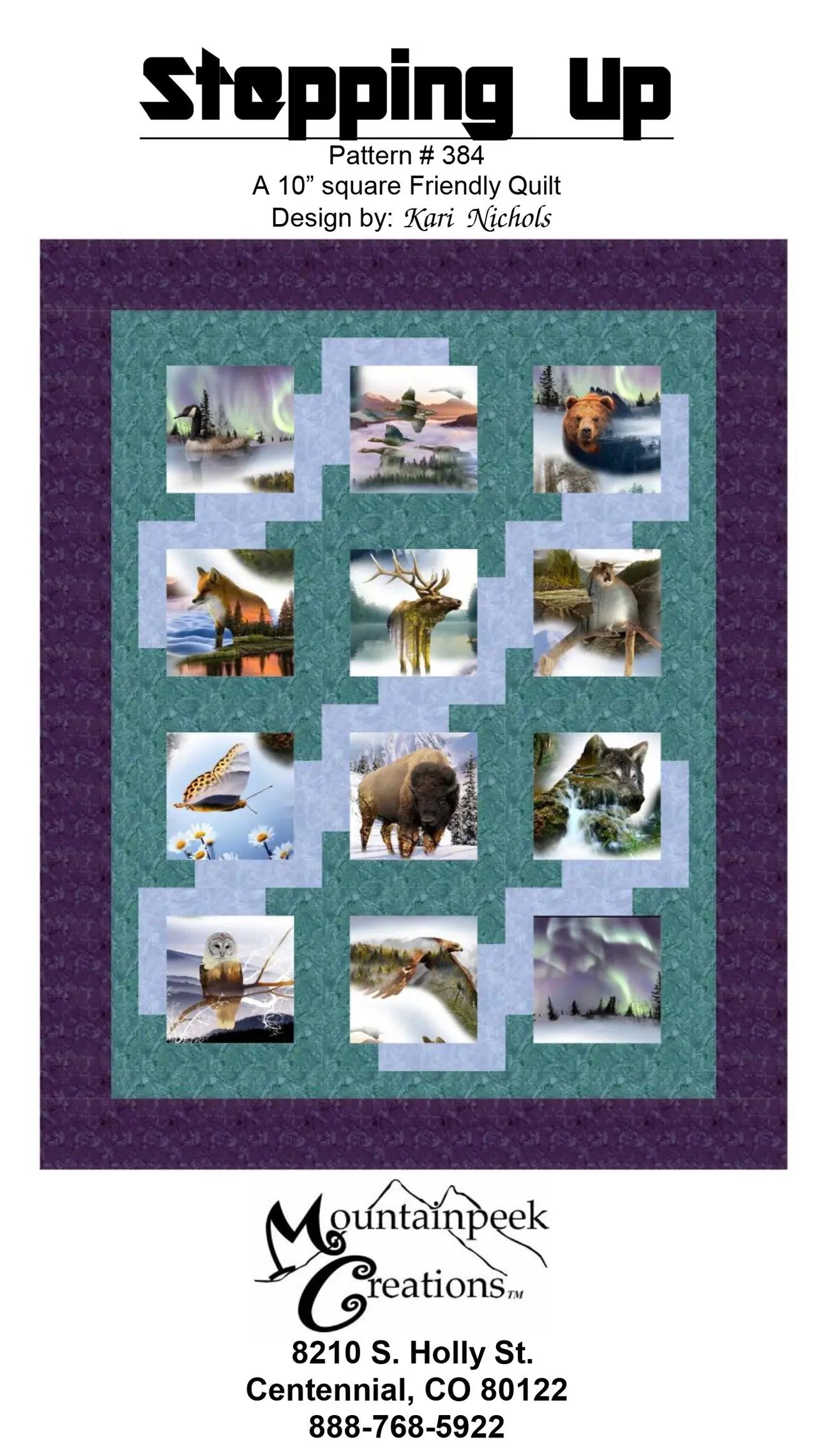 Stepping Up - Linda's Electric Quilters