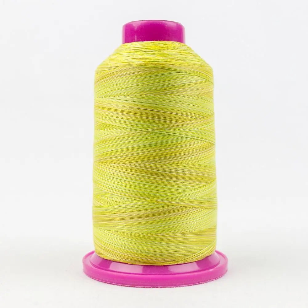 TU03 - Tutti™ 50wt Egyptian Cotton Citrus Thread WonderFil USA