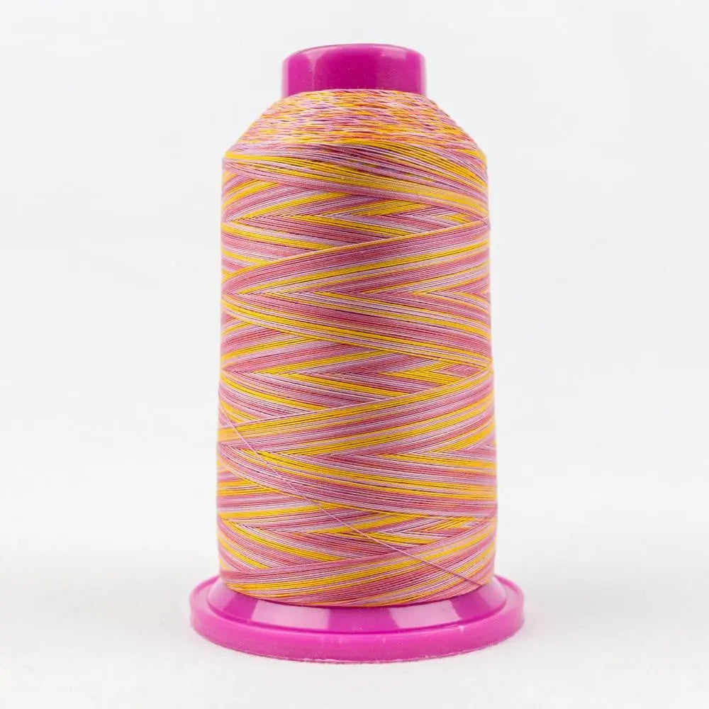 TU05 - Tutti™ 50wt Egyptian Cotton Pansy Thread WonderFil USA