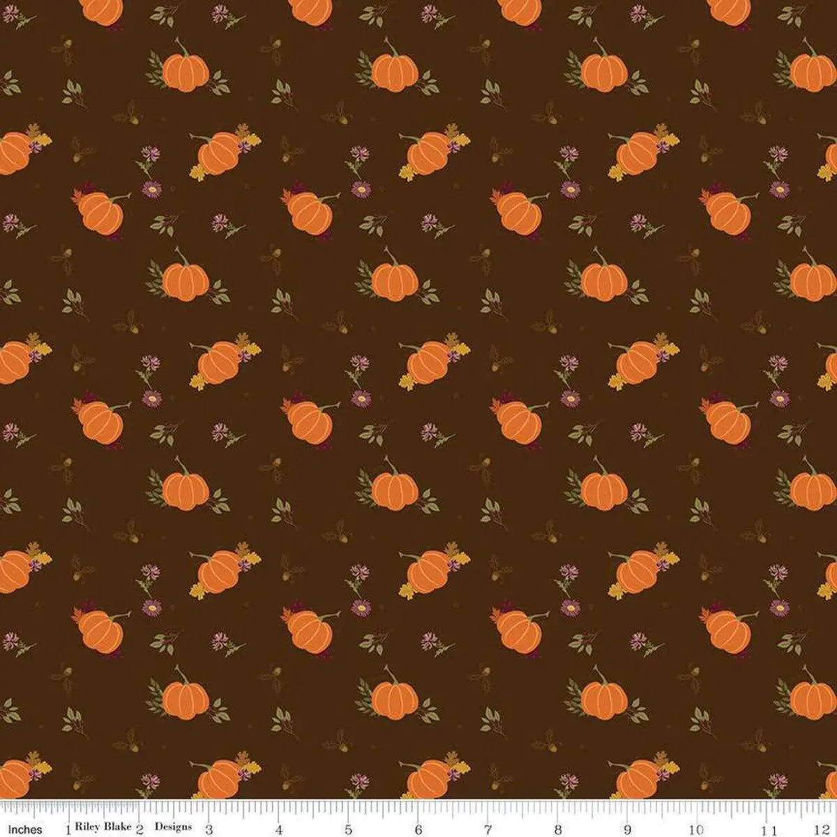 The Awe of Autumn Pumpkins Brown 43"/44" Fabric Per Yard Riley Blake Designs
