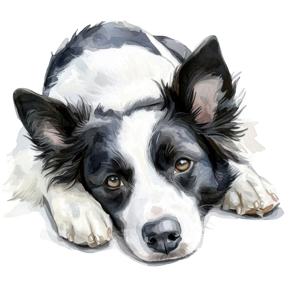 Watercolor Border Collie Fabric Panel 16