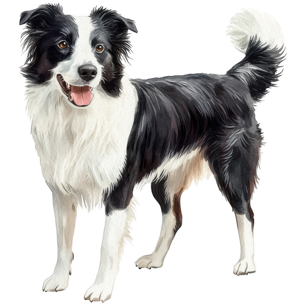 Watercolor Border Collie Fabric Panel 19