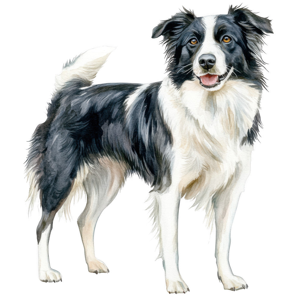 Watercolor Border Collie Fabric Panel 22