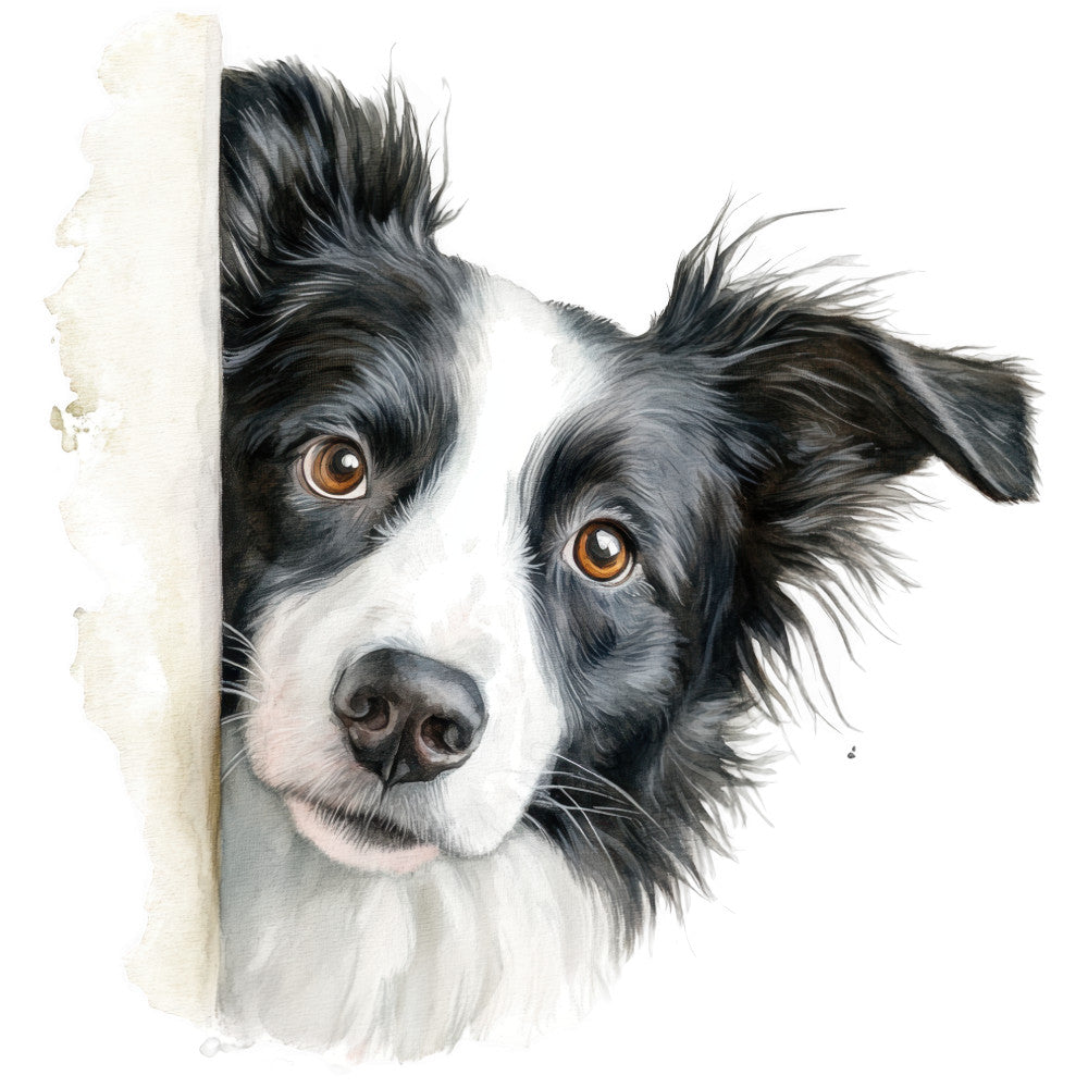 Watercolor Border Collie Fabric Panel 9