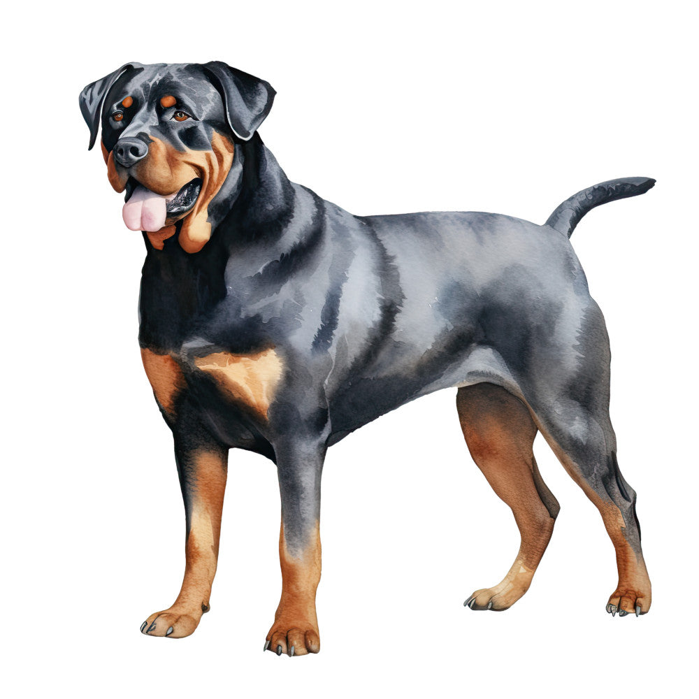 Watercolor Rottweiler Fabric Panel 24