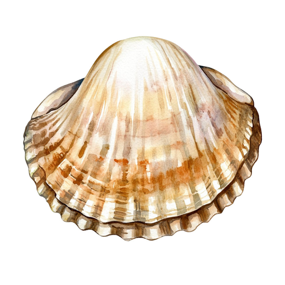 Watercolor Sea Shells Fabric Panel 24