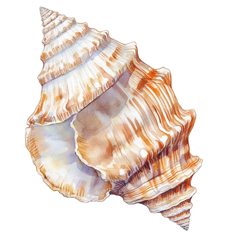 Watercolor Sea Shells Fabric Panel 27