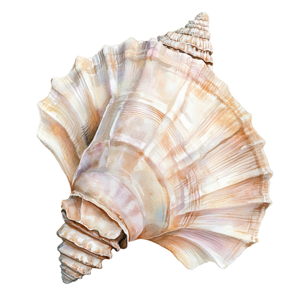 Watercolor Sea Shells Fabric Panel 7
