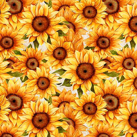 White Sunflower Serenade Packed Cotton 44/45 Fabric Per Yard