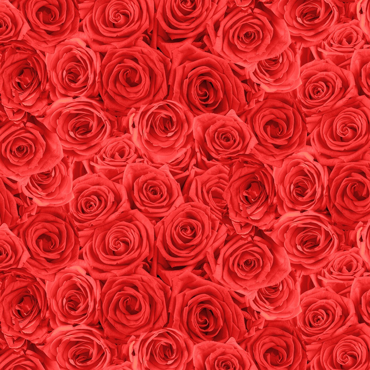 Red Packed Roses Cotton 44"/45" Fabric Per Yard