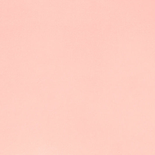 Baby Pink Cuddle 3 58/60" Solid Minky Fabric Per Yard