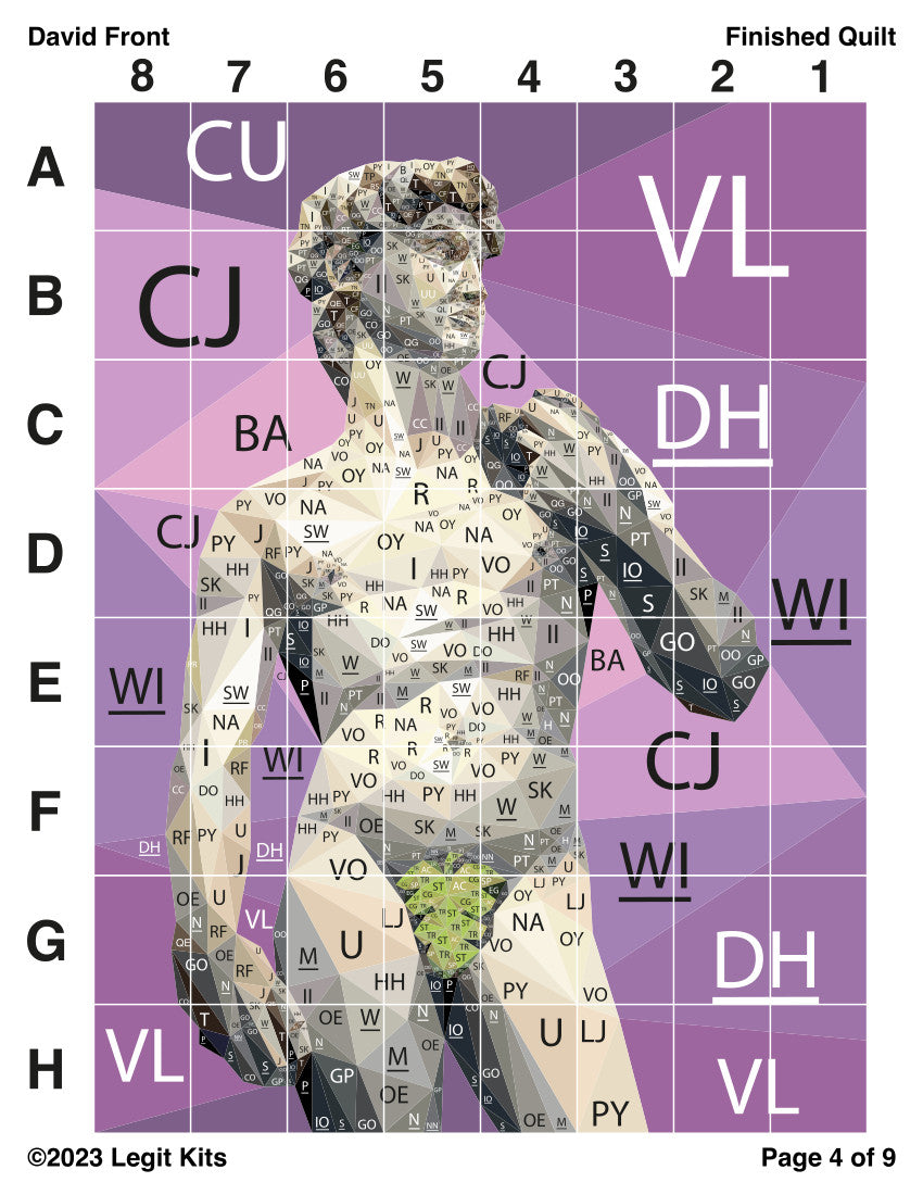 David Front Quilt Kit