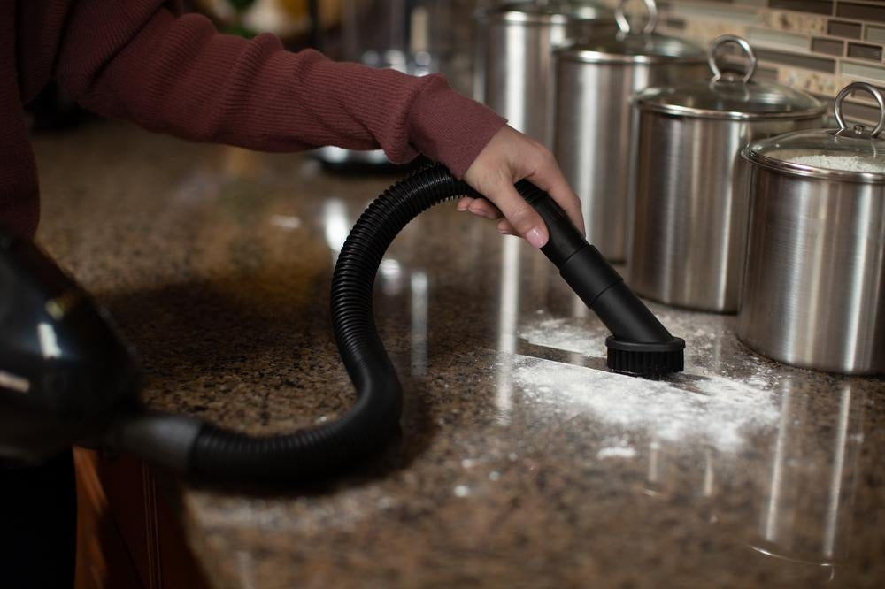 Riccar Gem Micro Vacuum