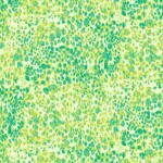 Lime Texture blender quilting fabric by Marcus