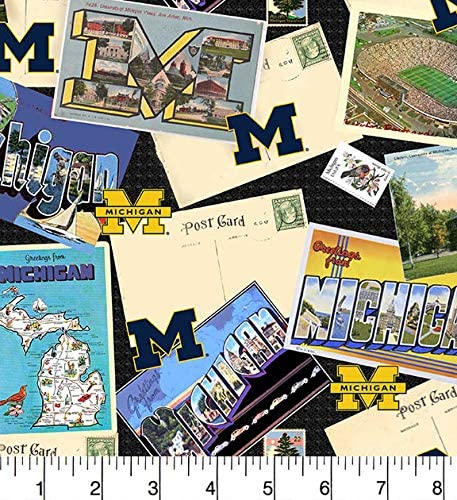 Michigan Wolverines scenic postcard licensed collegiate cotton 3 yard pack