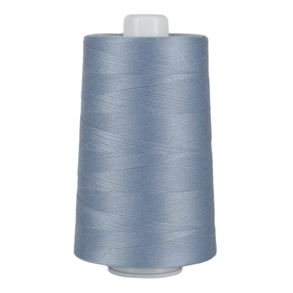 3100 Little Boy Omni Polyester Thread - Linda's Electric Quilters