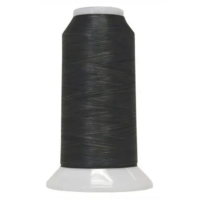 5100 Stately Fantastico Variegated Polyester Thread - Linda's Electric Quilters