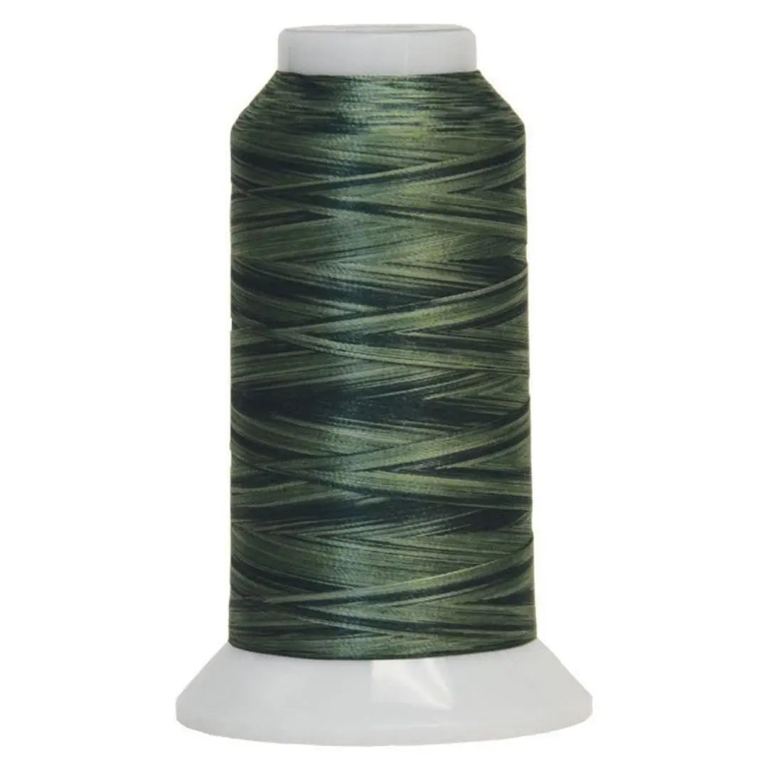 5014 Pine Valley Fantastico Variegated Polyester Thread - Linda's Electric Quilters