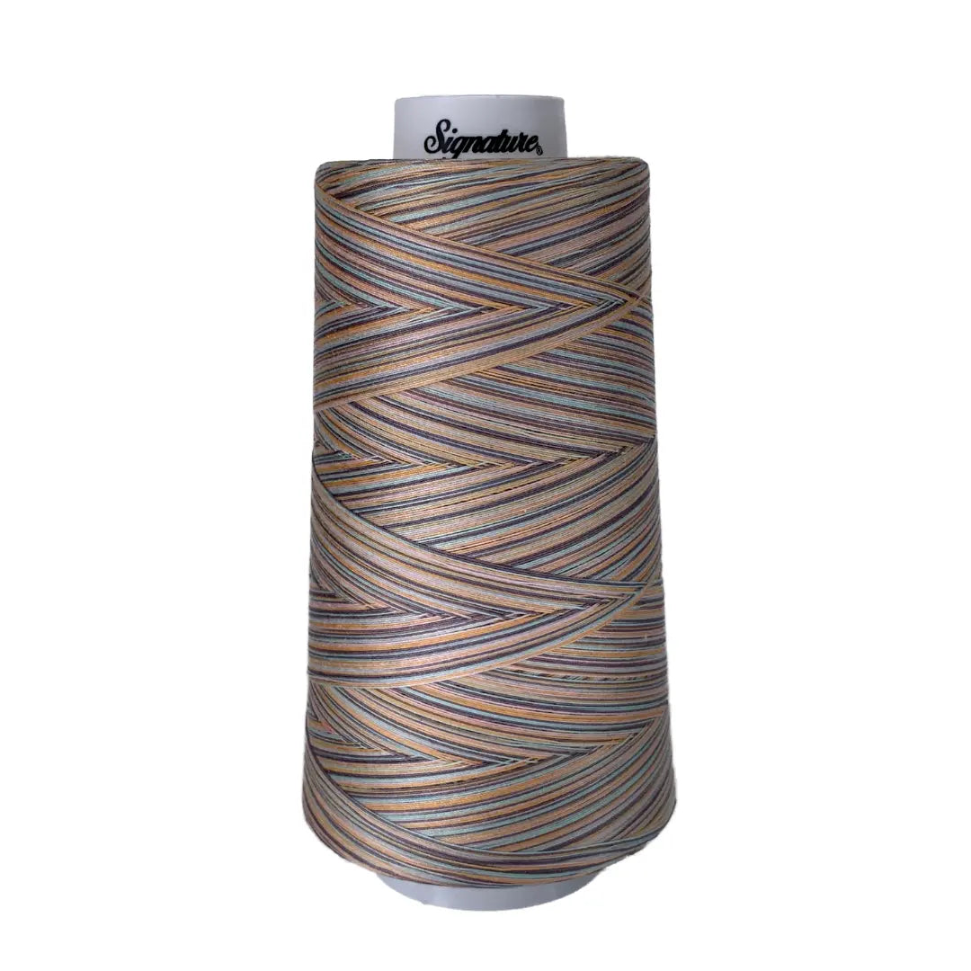 F254 Early Sunset Signature Cotton Variegated Thread - Linda's Electric Quilters