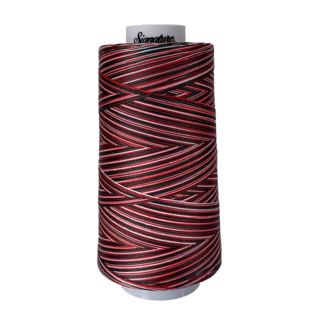 M02 Holiday Signature Cotton Variegated Thread - Linda's Electric Quilters