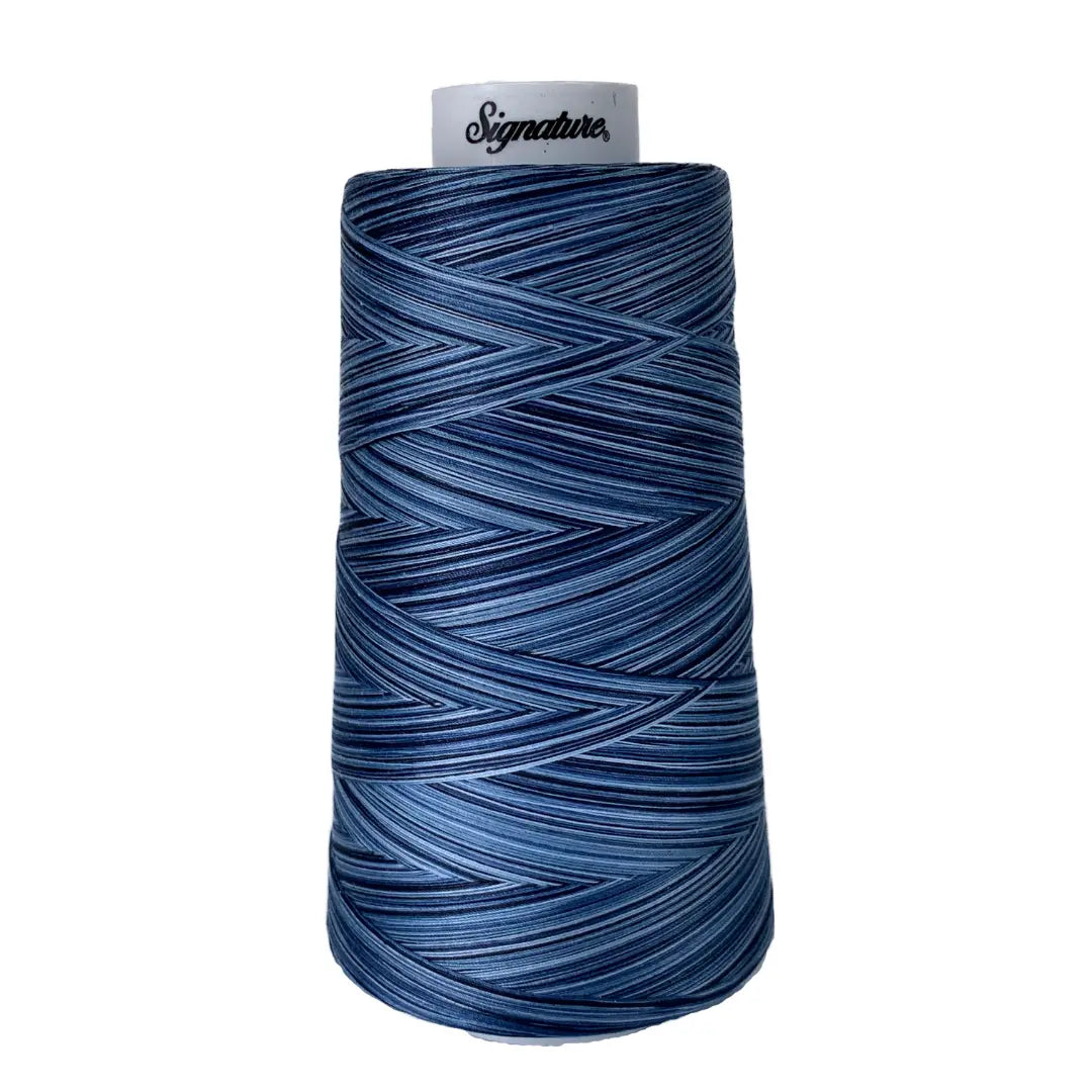 M05 Denim Signature Cotton Variegated Thread - Linda's Electric Quilters