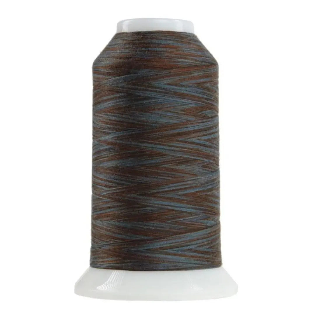9136 Meteorite Omni Variegated Polyester Thread - Linda's Electric Quilters