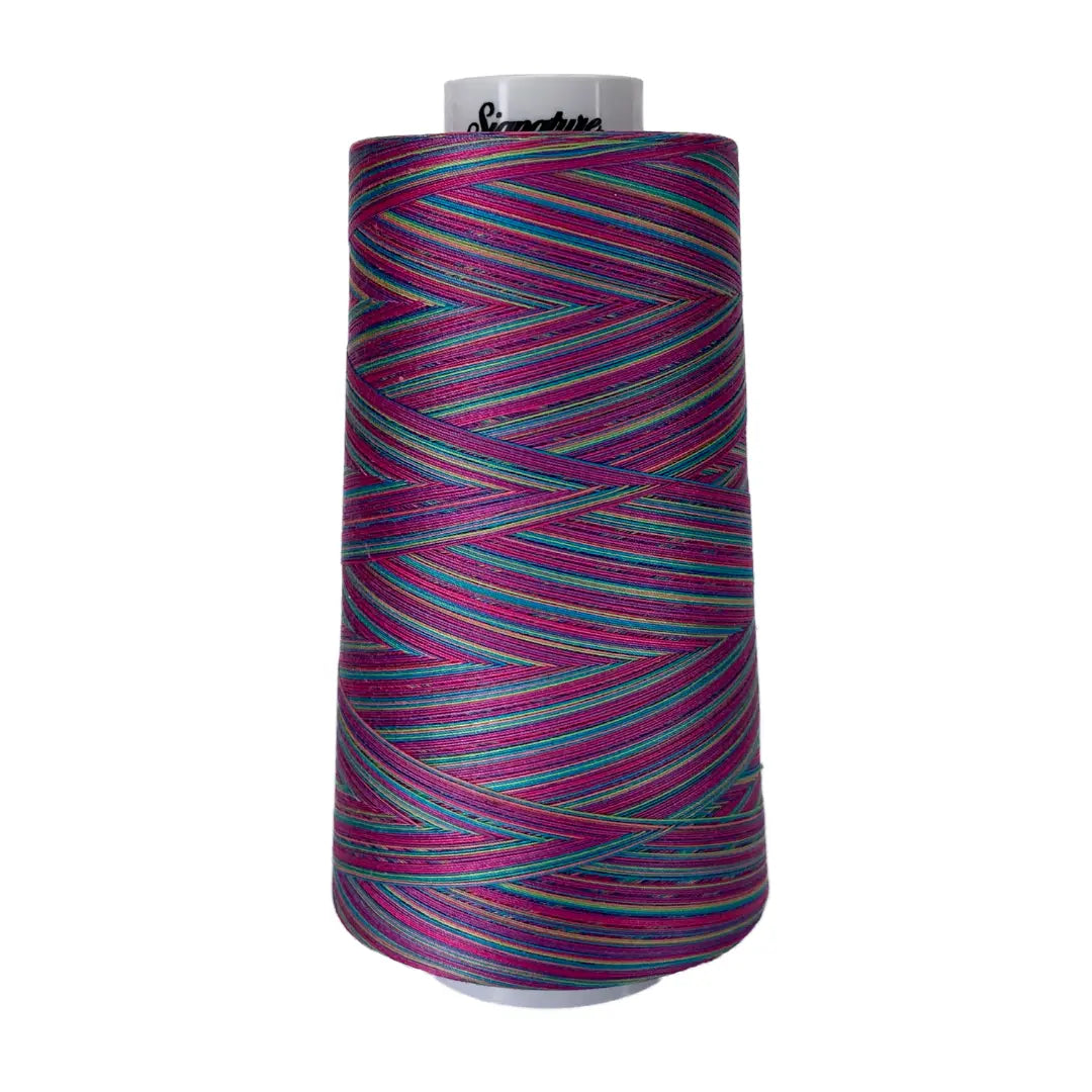 M16 Fad 5 Signature Cotton Variegated Thread - Linda's Electric Quilters