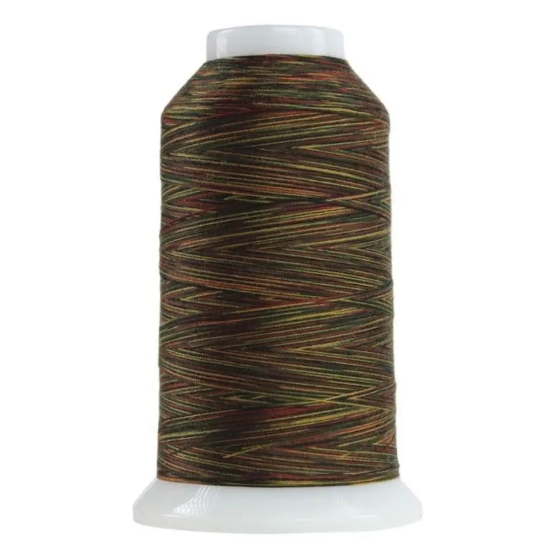 9145 Nebuchadnezzar Omni Variegated Polyester Thread - Linda's Electric Quilters