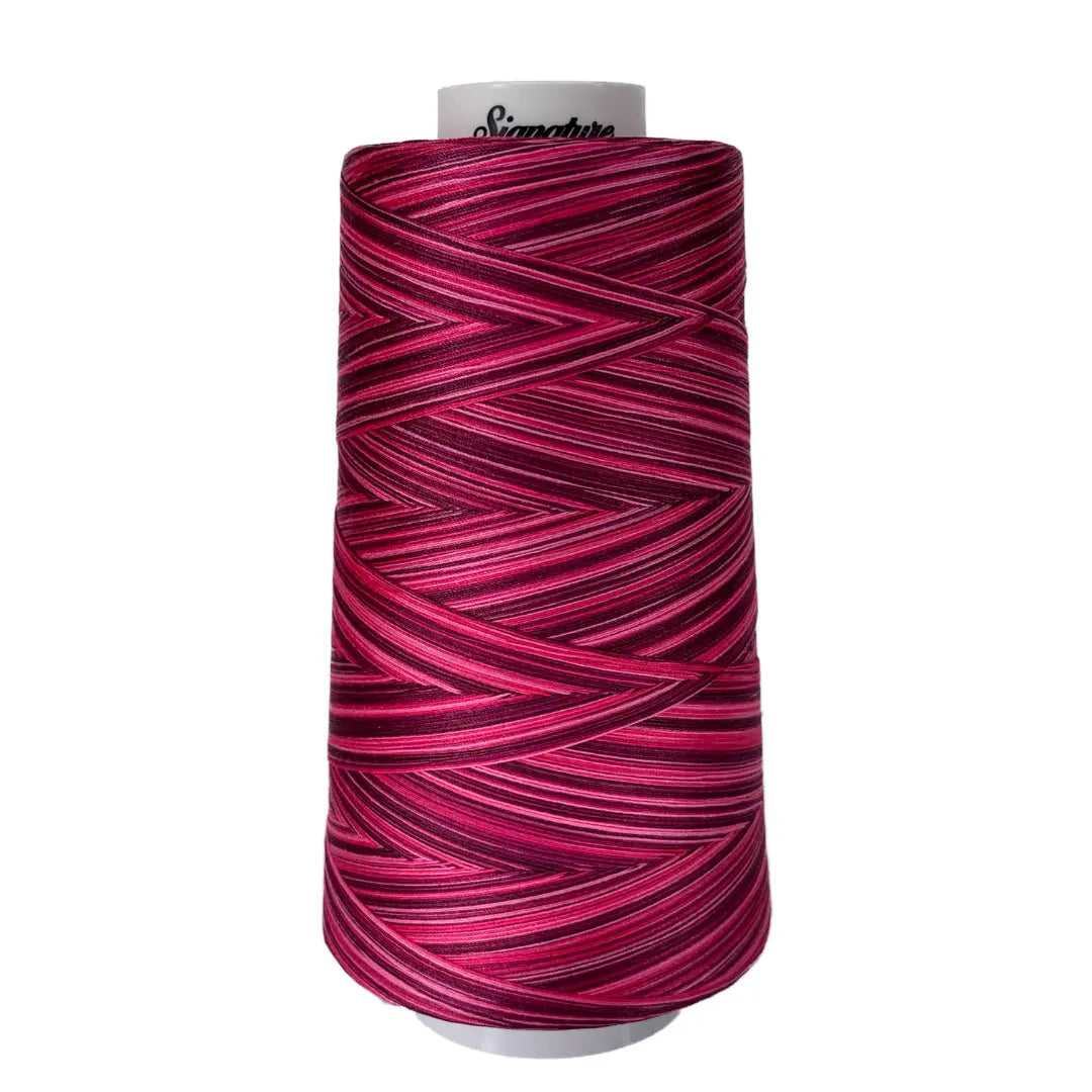 M79 Raspberries Signature Cotton Variegated Thread - Linda's Electric Quilters
