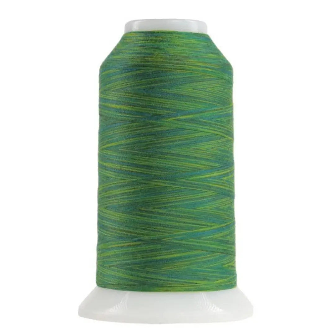 9007 Rolling Hills Omni Variegated Polyester Thread - Linda's Electric Quilters
