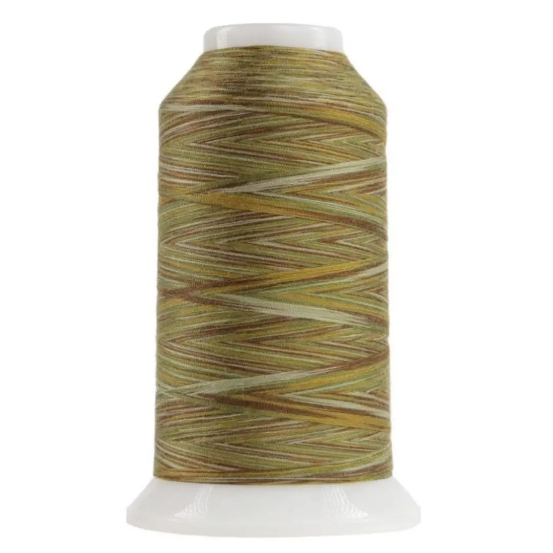 9010 Multigrain Omni Variegated Polyester Thread - Linda's Electric Quilters