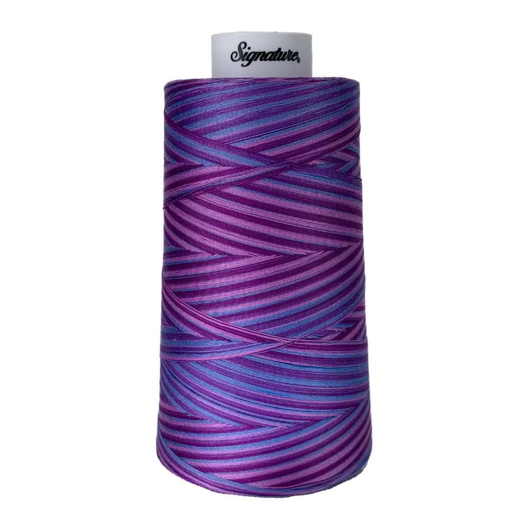 F155 Pansy Patch Signature Cotton Variegated Thread - Linda's Electric Quilters