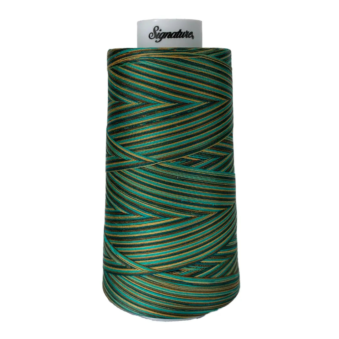 F251 Atlantis Signature Cotton Variegated Thread - Linda's Electric Quilters